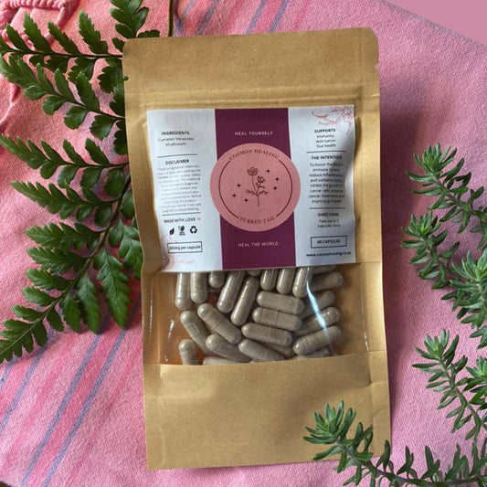 High Potency Turkey Tail Capsules (Single Origin) by Cosmos Healing