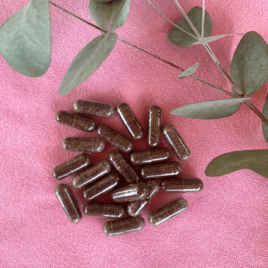 High Potency Reishi Capsules (Single Origin) by Cosmos Healing