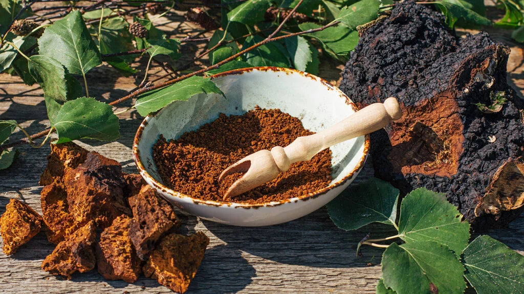 High Potency Chaga Capsules (Single Origin) by Cosmos Healing